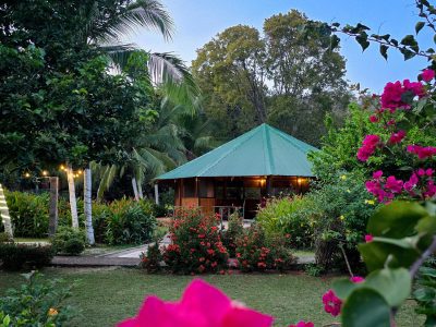 New Life Rising - Ayahuasca Retreat Costa Rica