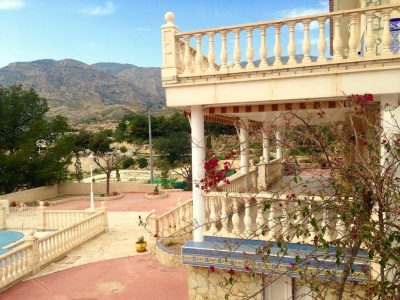 Iboga Tree – Healing House