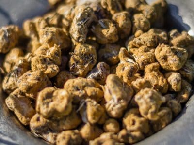 New Moon Psychedelic Retreats