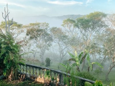 Iboga Wellness Center