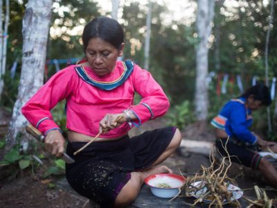 Psychonauta Foundation