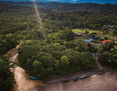 Parign Hak – Grandma's Home