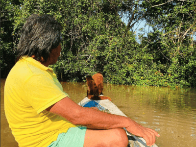 Ecological Jungle Trips Healing Center