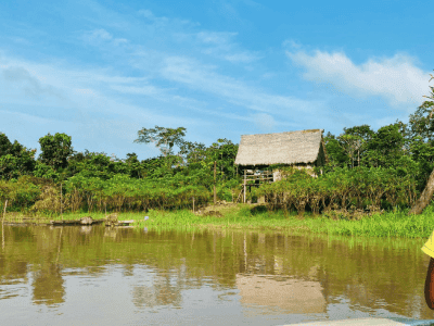 Ecological Jungle Trips Healing Center