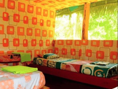 Ecological Jungle Trips Healing Center