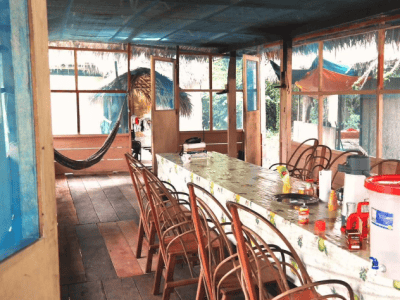 Ecological Jungle Trips Healing Center