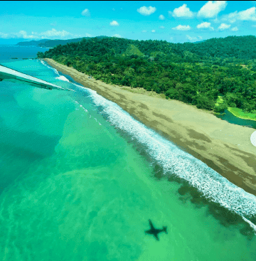 Rainforest Medicine Gatherings