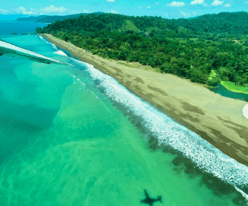 Ocean Forest EcoLodge