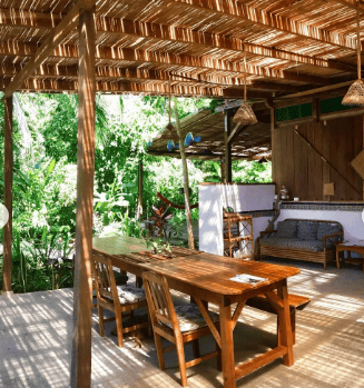 Rainforest Medicine Gatherings