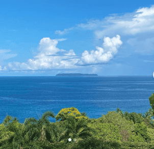 Ocean Forest EcoLodge