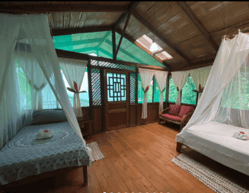 Ocean Forest EcoLodge
