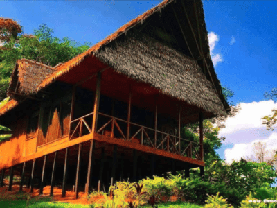 Flower of Life Ayahuasca Retreats