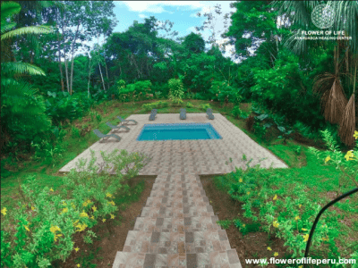 Flower of Life Ayahuasca Retreats