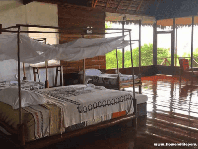 Flower of Life Ayahuasca Retreats