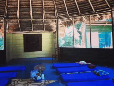 Flower of Life Ayahuasca Retreats