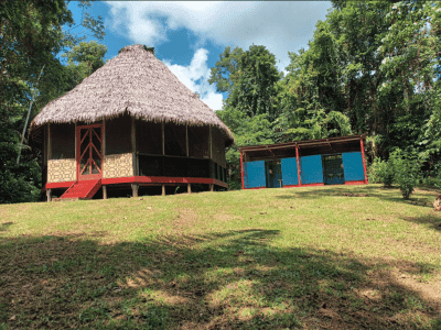 Flower of Life Ayahuasca Retreats