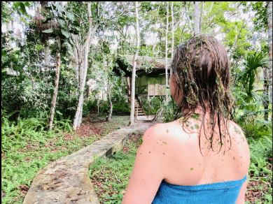 Caya Shobo Ayahuasca Healing Center