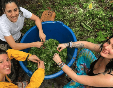 Caya Shobo Ayahuasca Healing Center
