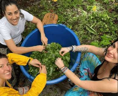 Caya Shobo Ayahuasca Healing Center