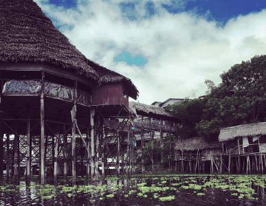 Caya Shobo Ayahuasca Healing Center