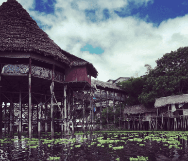 Caya Shobo Ayahuasca Healing Center