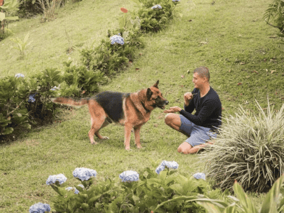 Nada Brahma Healing Center