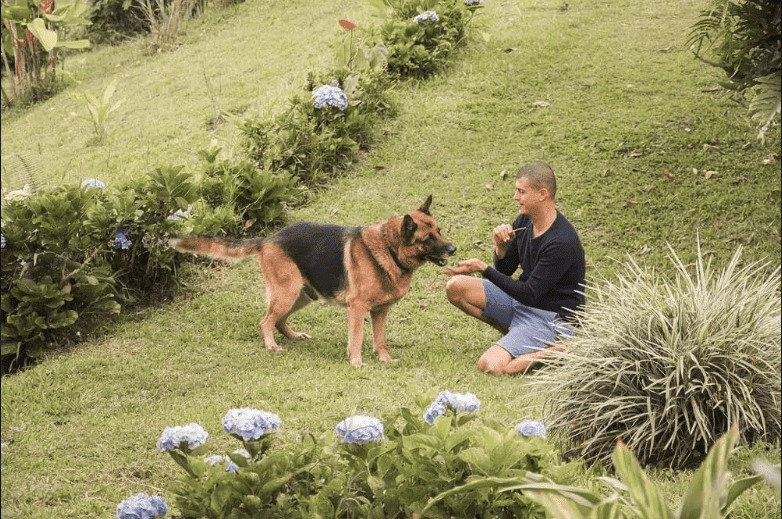 Nada Brahma Healing Center