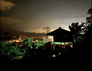 Ayahuasca Costa Rica