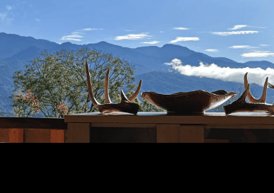 Ayahuasca Costa Rica