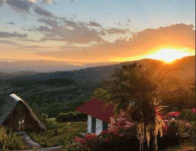 Ayahuasca Costa Rica