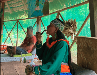 Aya Madre Healing Center