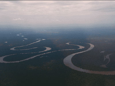 Ayahuasca Oasis Healing Center