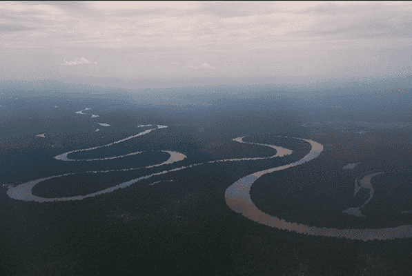 Ayahuasca Oasis Healing Center