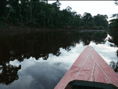 Ayahuasca Oasis Healing Center