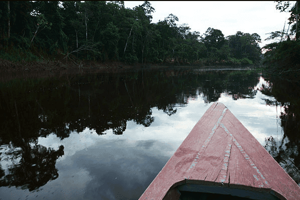 Ayahuasca Oasis Healing Center