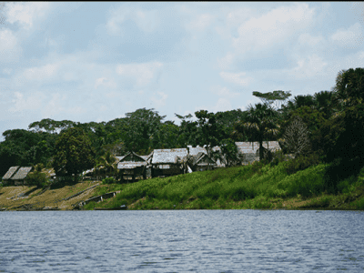 Ayahuasca Oasis Healing Center