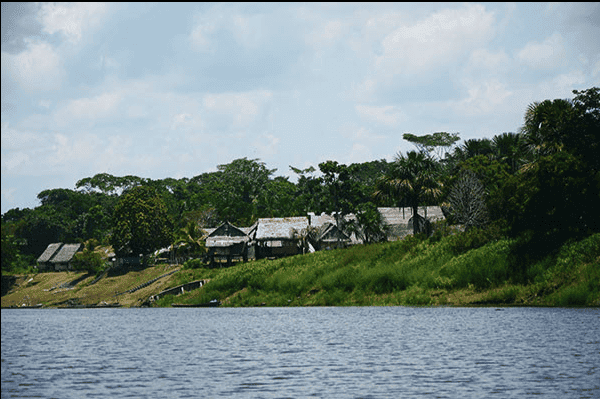 Ayahuasca Oasis Healing Center