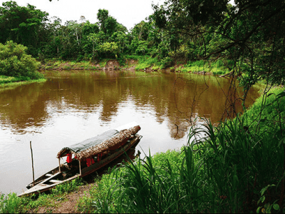 Ayahuasca Oasis Healing Center