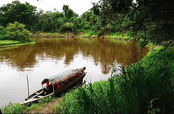 Ayahuasca Oasis Healing Center