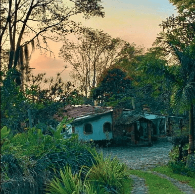 Aya Retreat Guacamayo