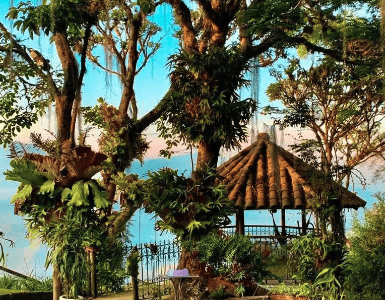 Aya Retreat Guacamayo