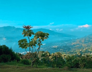 Aya Retreat Guacamayo