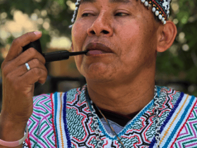 APL Shamanic Journeys