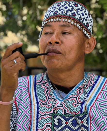 APL Shamanic Journeys