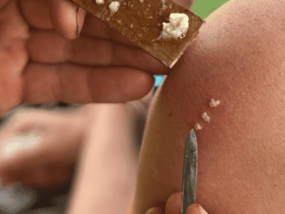 APL Shamanic Journeys