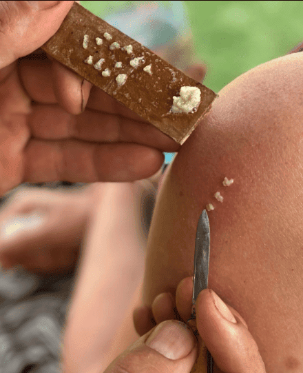 APL Shamanic Journeys