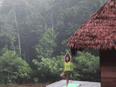 APL Shamanic Journeys