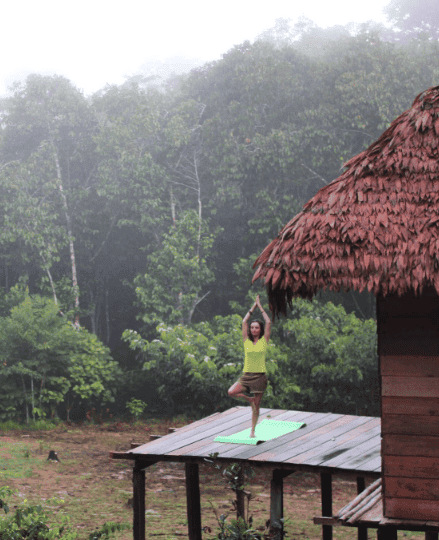 APL Shamanic Journeys