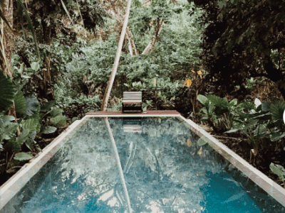 APL Shamanic Journeys