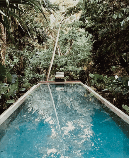 APL Shamanic Journeys